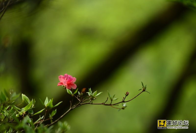 DSC_0062.JPG