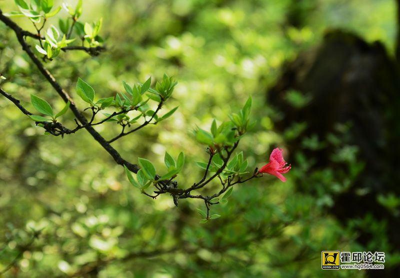 DSC_9941.JPG