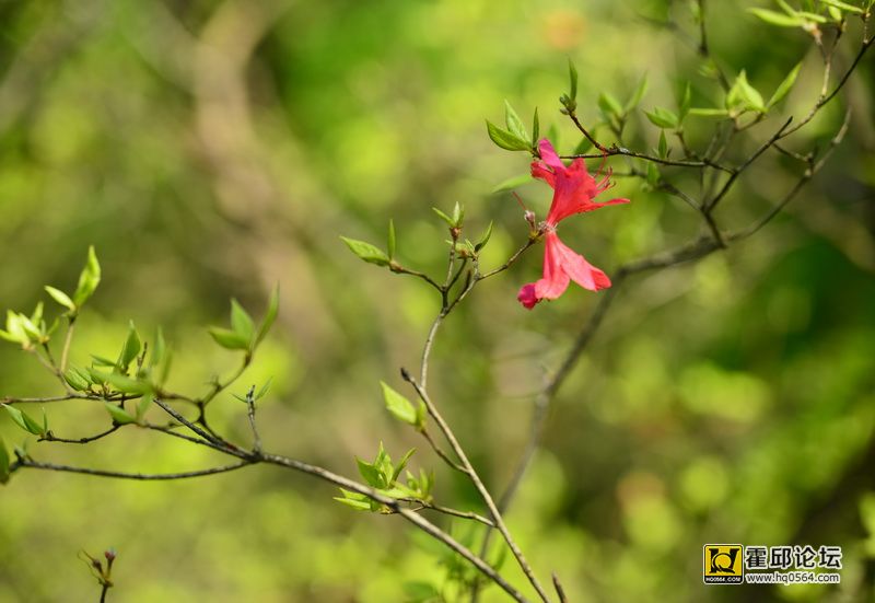 DSC_9952.JPG