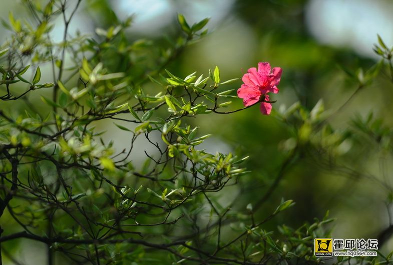 DSC_9985.JPG