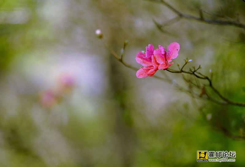 DSC_0030.JPG