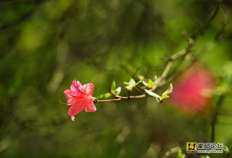 DSC_0034.JPG