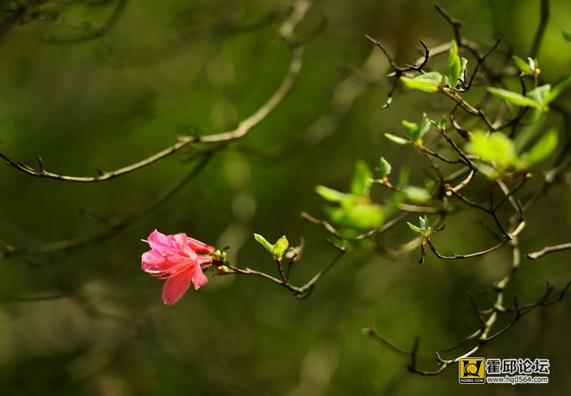 DSC_0036.JPG