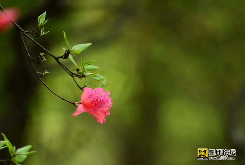 DSC_0074.JPG