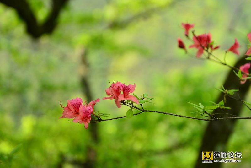 DSC_0144.JPG
