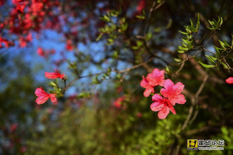 DSC_9899.JPG
