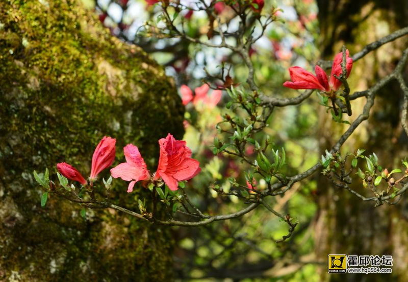 DSC_9909.JPG