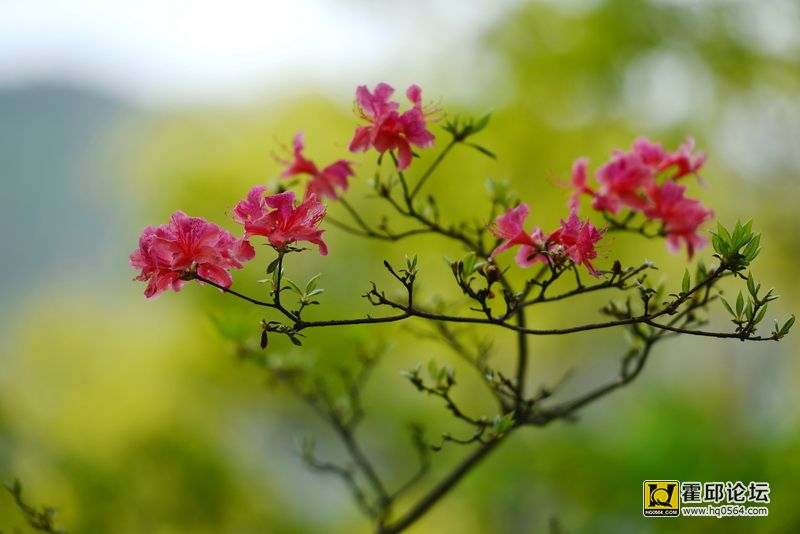 DSC_0075.JPG