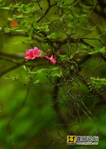 DSC_0089.JPG