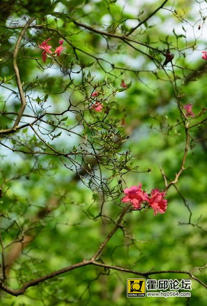 DSC_0108.JPG