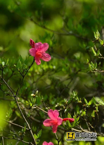 DSC_9973.JPG
