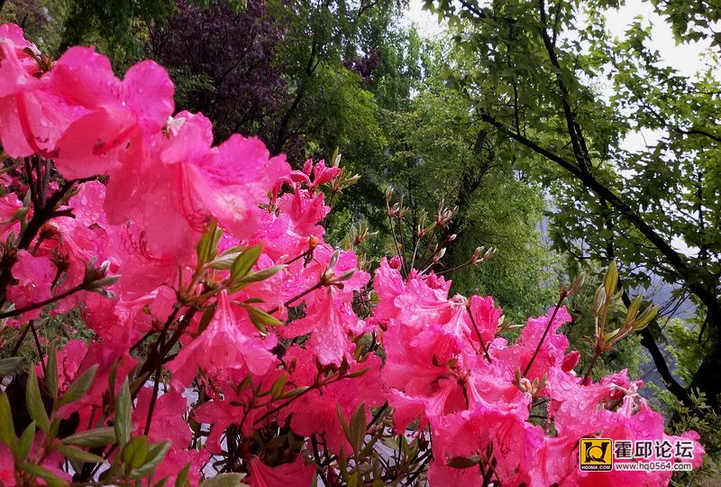 20160427_140109.jpg