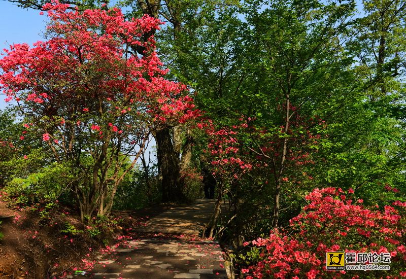 DSC_9904.JPG