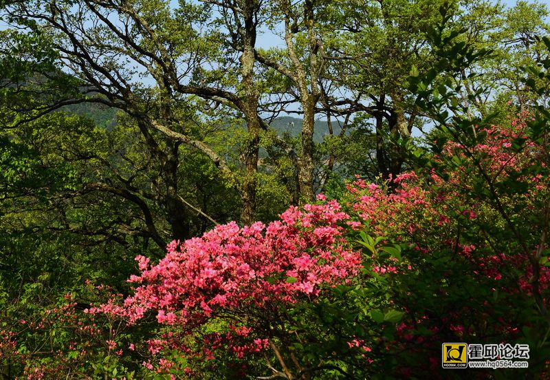 DSC_9918.JPG