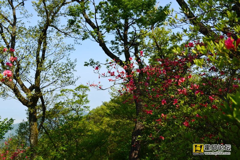 DSC_9921.JPG