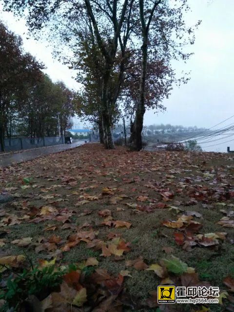 05.jpg