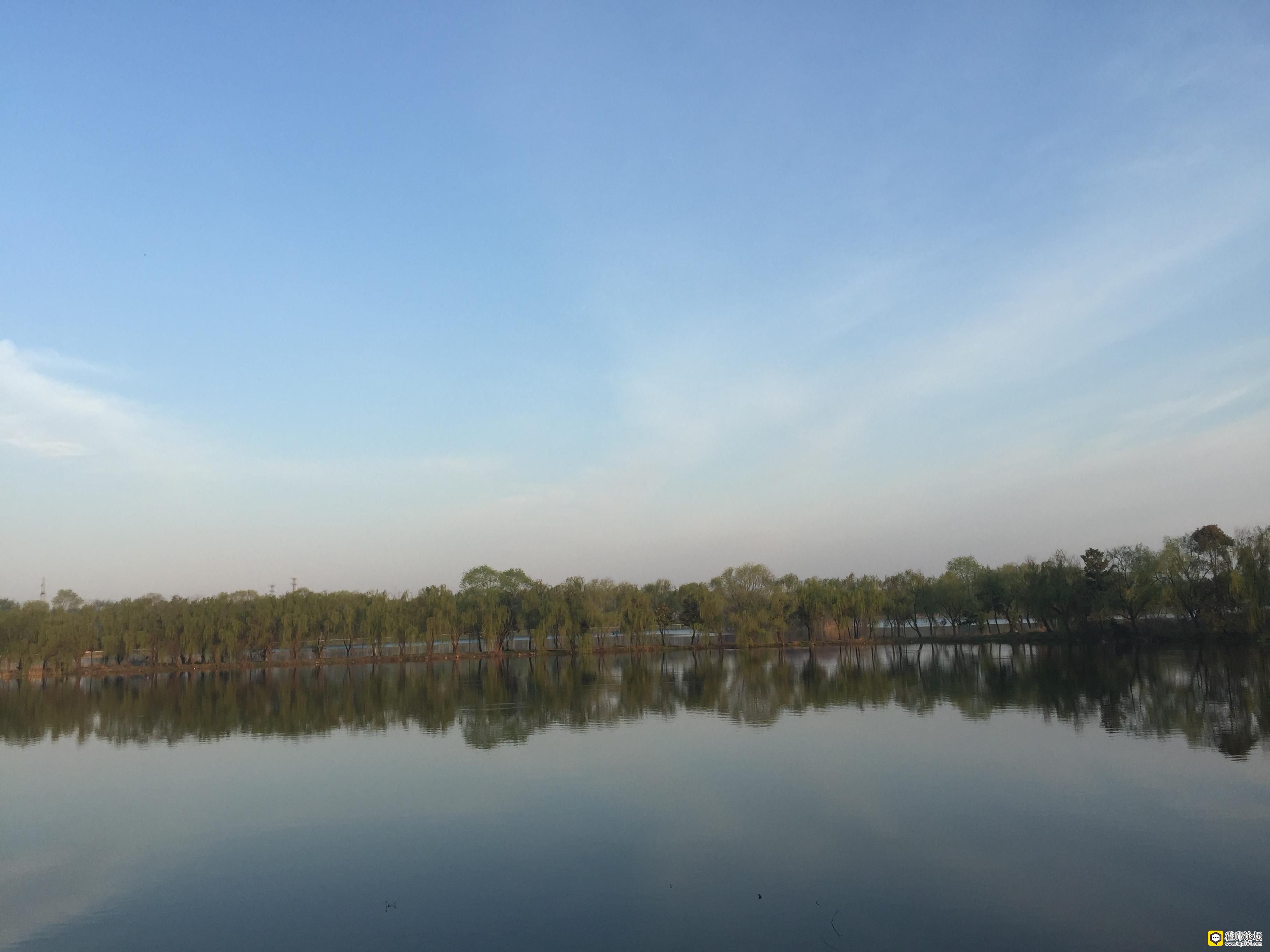 2017-04-03 063557.jpg