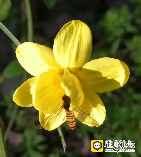IMG_20170423_113821.jpg