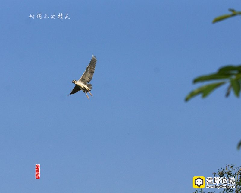 DSC01098_����.jpg