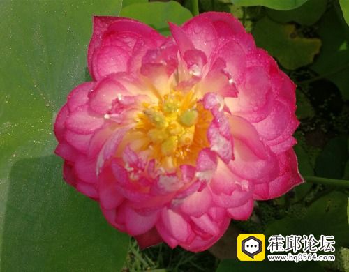 IMG_20170604_111523.jpg