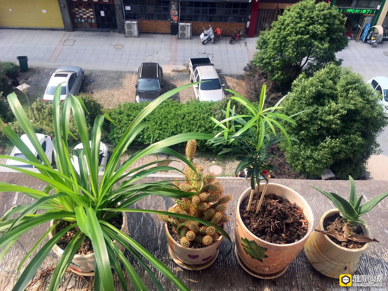 ΢��ͼƬ_20170913095533.jpg