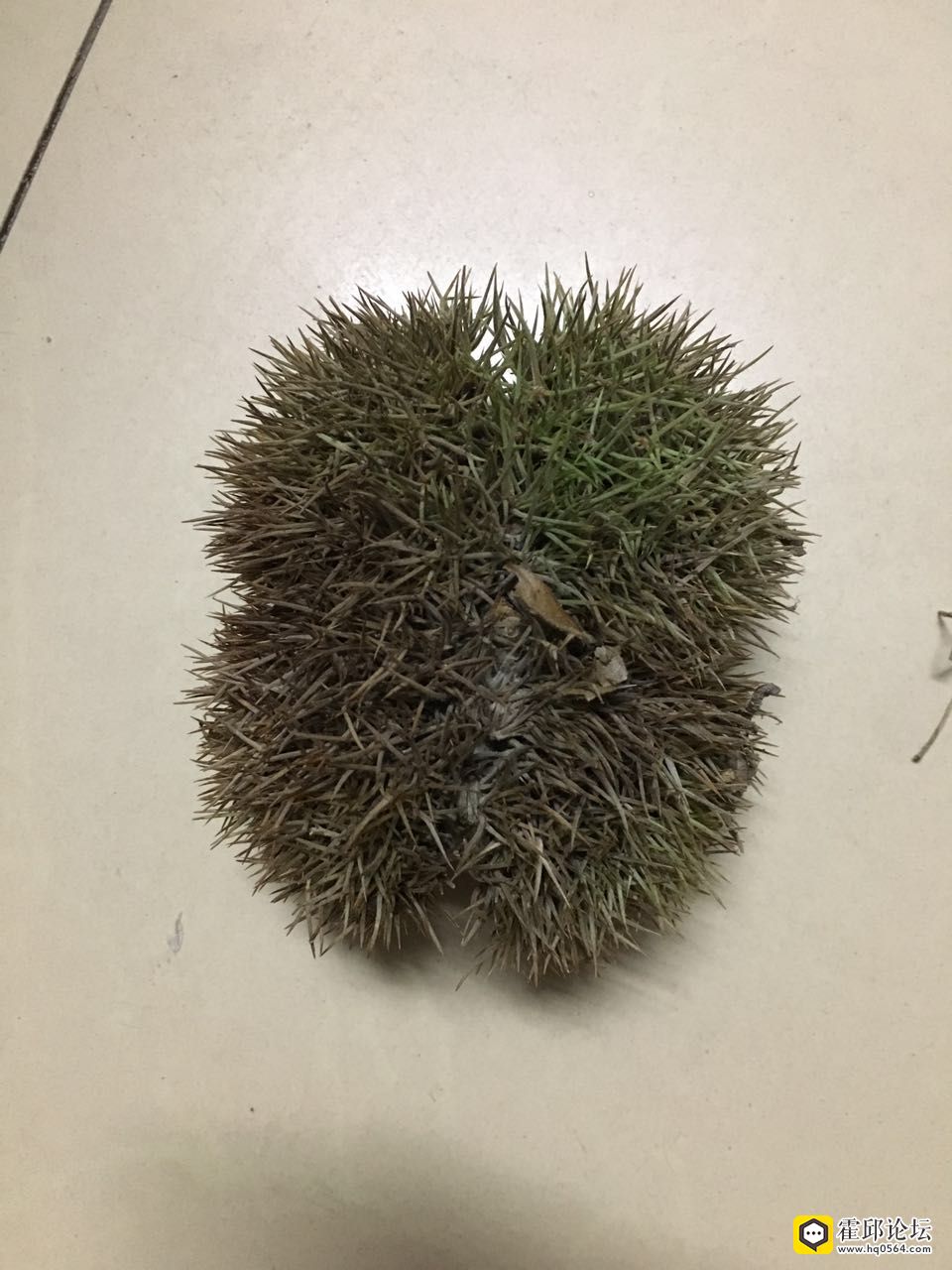 ΢��ͼƬ_20170914082650.jpg
