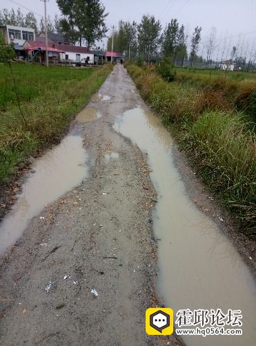 崔桥人口_人口普查