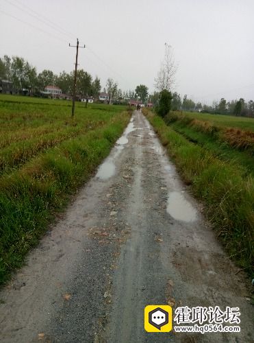 崔桥人口_人口普查