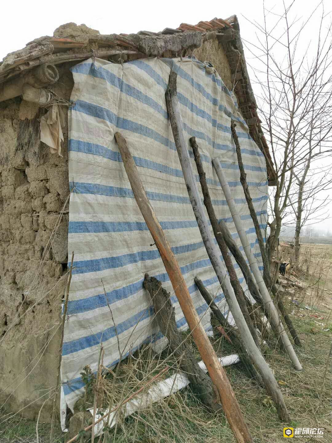 霍邱有多少人口_暖心 有情有义霍邱人(3)