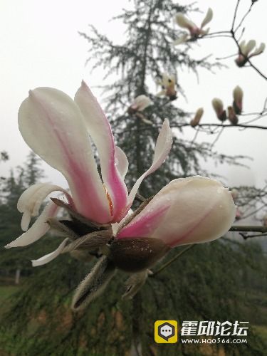 IMG_20180303_084655.jpg