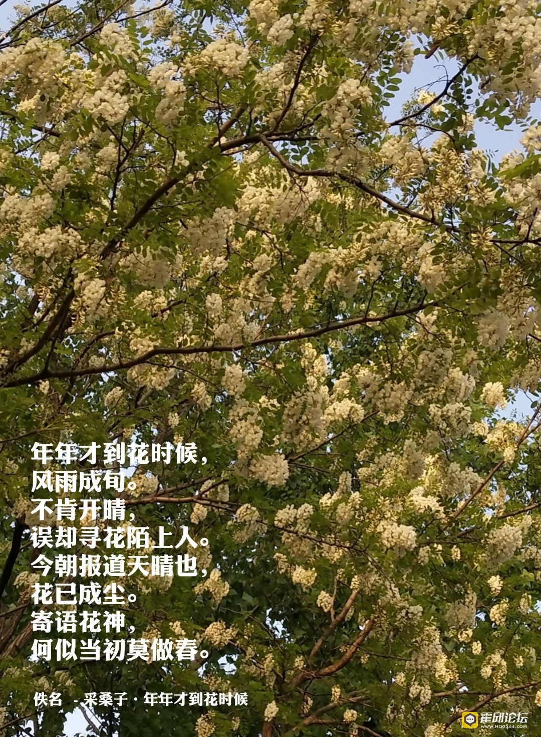 1523918150127.JPEG