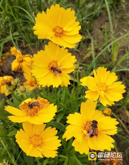 psb (7)_����_����.jpg