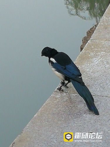 IMG_20181005_065511.jpg