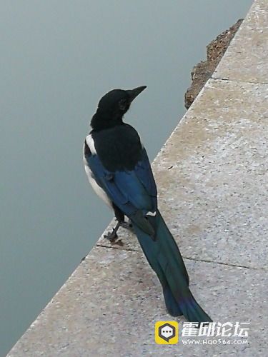 IMG_20181005_065517.jpg
