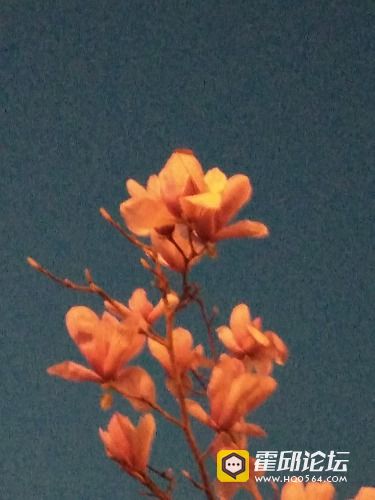 IMG_20190320_185202.jpg