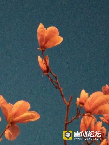 IMG_20190320_185128.jpg