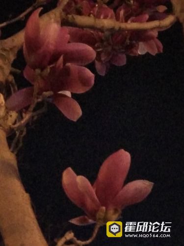 IMG_20190320_191250.jpg