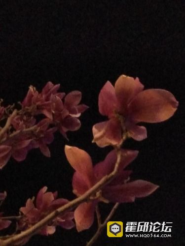 IMG_20190320_191307.jpg