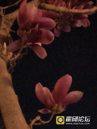 IMG_20190320_191252.jpg