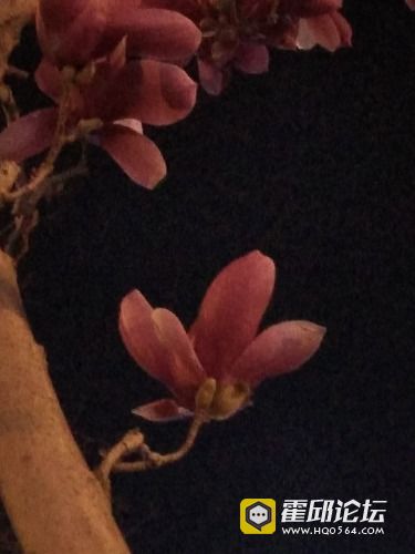 IMG_20190320_191246.jpg