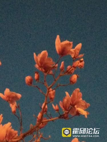 IMG_20190320_185232.jpg