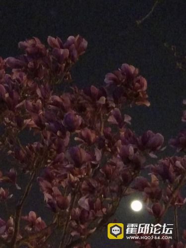IMG_20190320_191100.jpg
