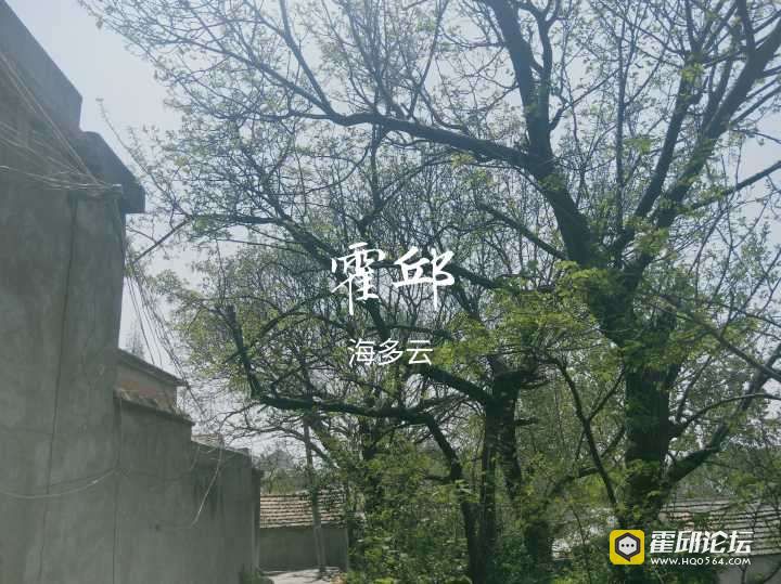 20190409_193522_1554811325380.jpg