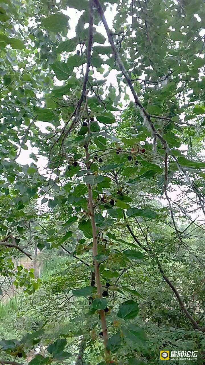 20190515_179307_1557904981864.jpg