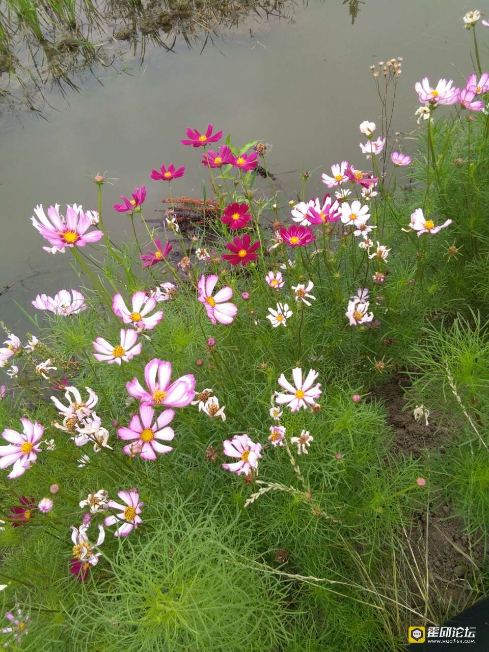 20190613_193478_1560417612808.jpg