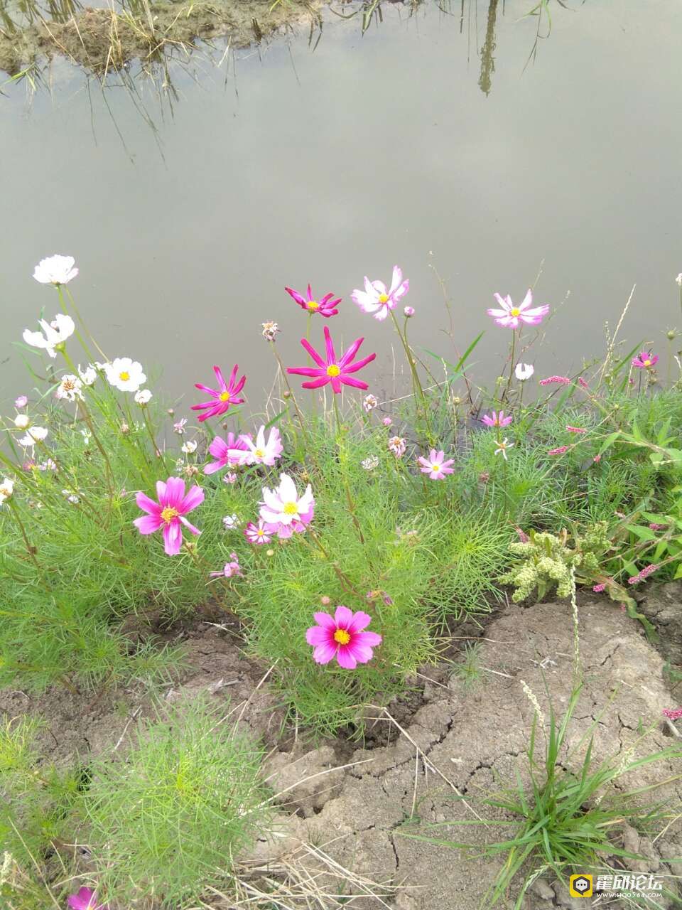 20190613_193478_1560417614361.jpg