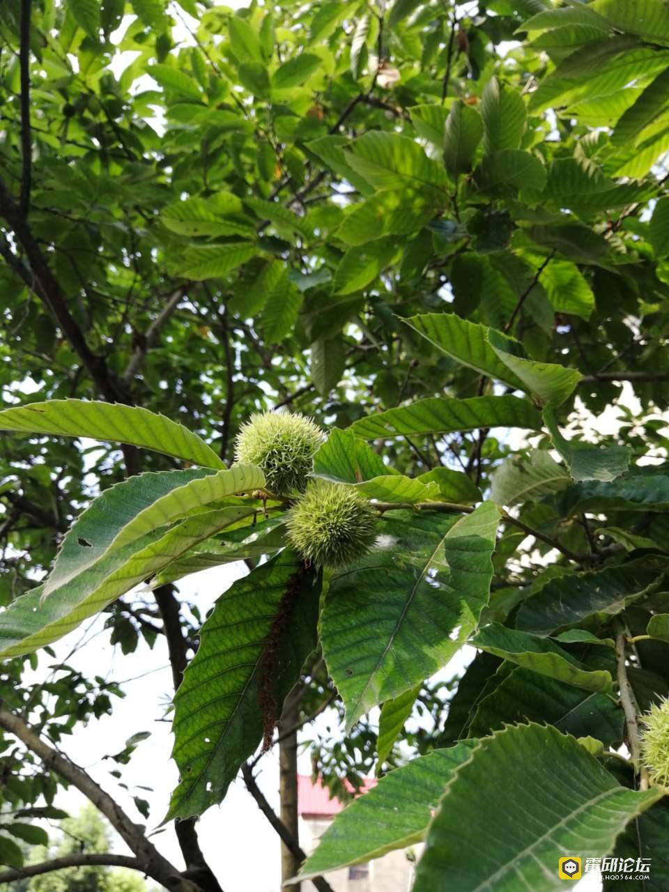 20190722_193522_1563792488705.jpg