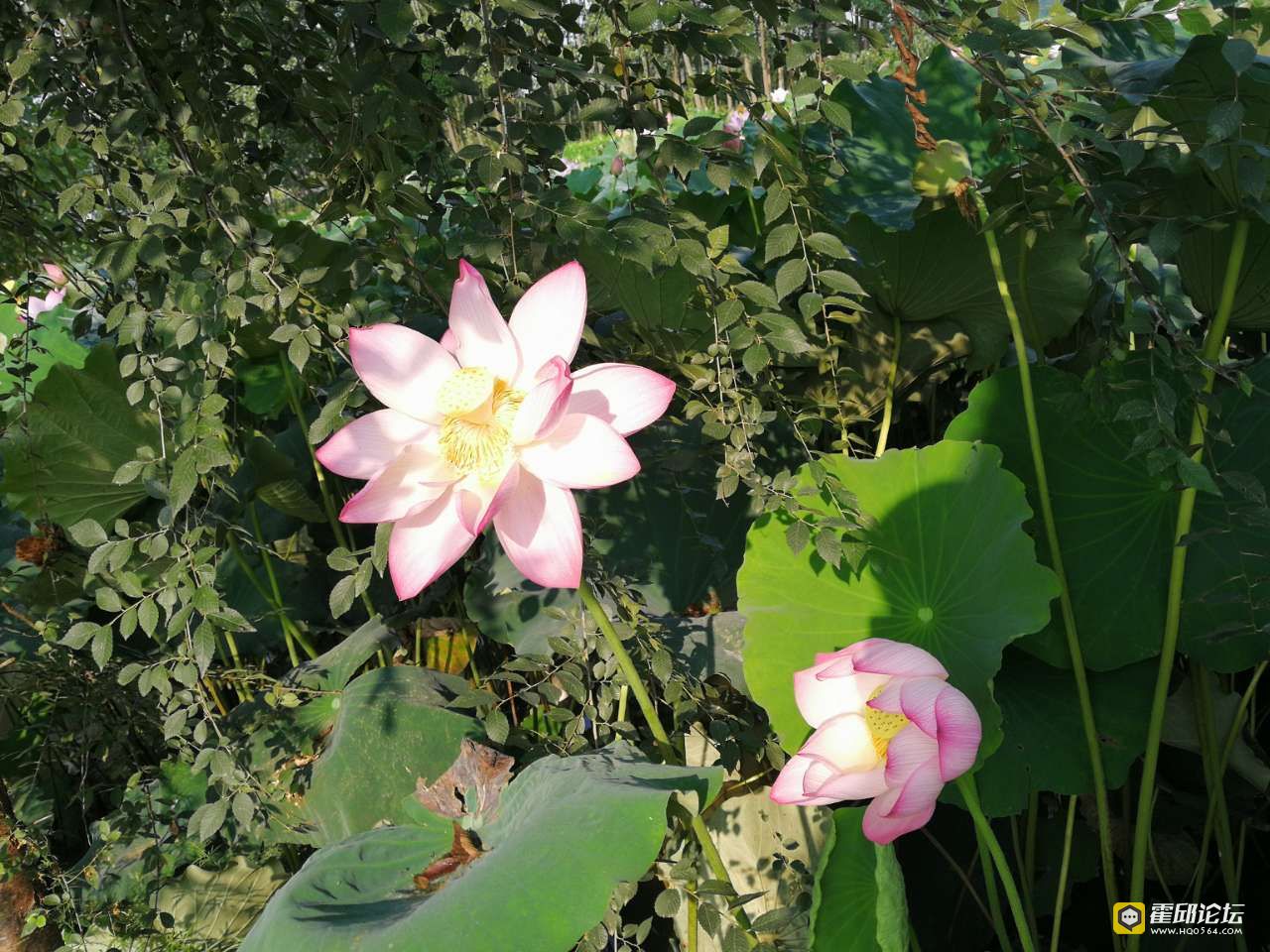 20190722_193522_1563792491867.jpg