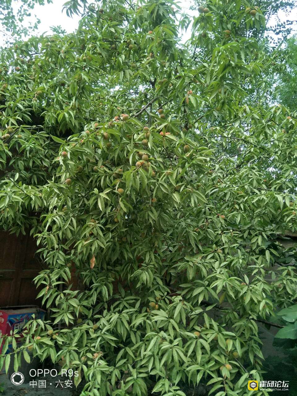 20190803_196207_1564814266686.jpg
