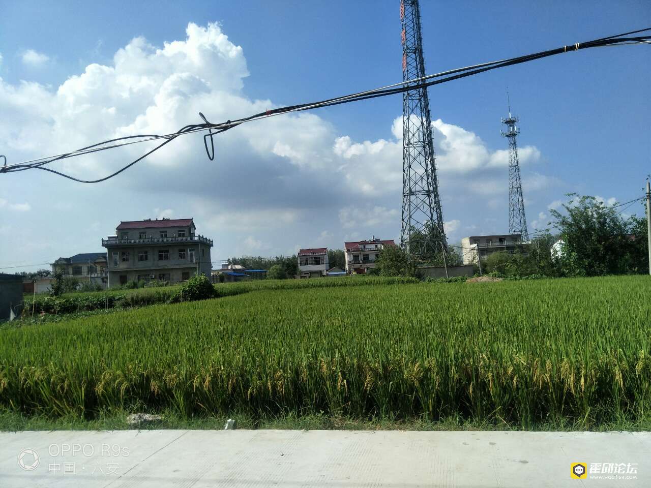 20190816_196207_1565944042583.jpg